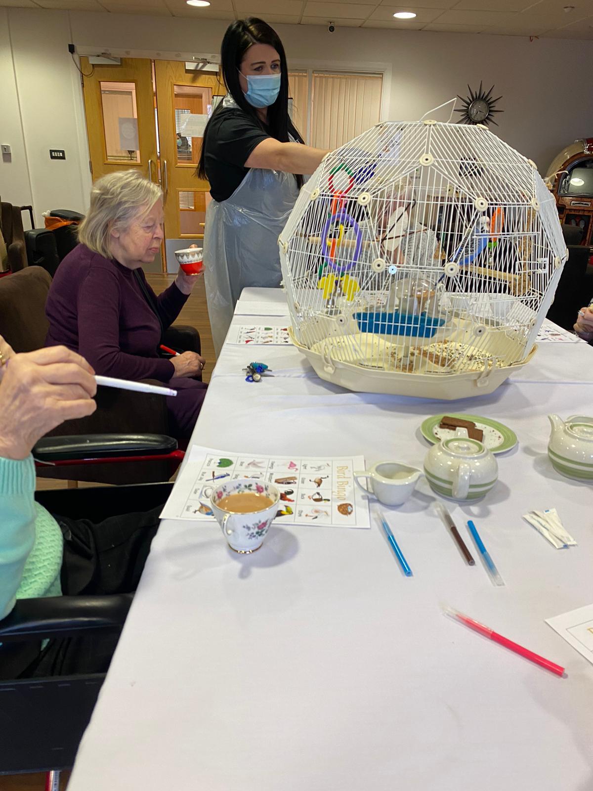 Belong-Villages-Bird-Bingo