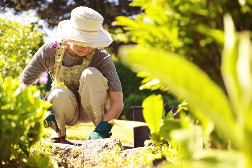 gardening-hobby