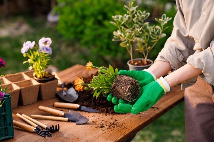 gardening